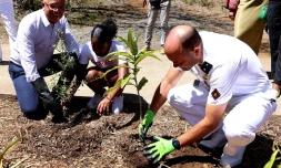 Saint-Denis : 500 arbres plantés grâce au "plan un million d'arbres" 
