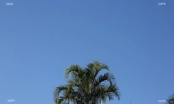 météo réunion 
