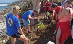 Des scouts participaient à la restauration des plages de ponte.