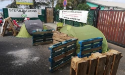 Francis Kubezyk et Milit'Activ'974 bloquent toujours la fourrière de la Cirest