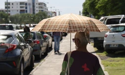 météo réunion 