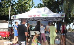 Ramassage déchets plage de l\'Ermitage - Club du tourisme 