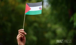 Rassemblement pour la paix en Palestine