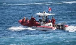 sdis 974