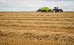 Un agriculteur fait ses récoltes, à Monthodon prÚs de Tours (centre), le 28 juillet 2016