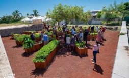 Inauguration jardin partagé