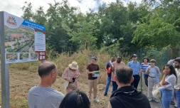 TO : le projet de construction d’une cité kréole par la ZAC Ecocité Phaonce validé