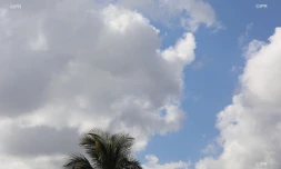 météo réunion 