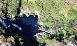 bassin des Cormorans