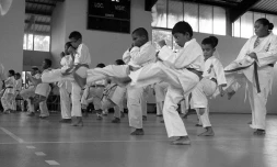 Phoenix Kyokushinkai Karaté
