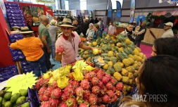 Salon de l'agriculture 2024