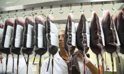 Etablissement français du sang