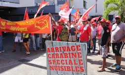 Manif anti réforme code travail