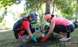 Saint-Paul : un week-end d’animations pour la semaine européenne du développement durable