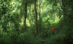 Documentaire \"Le bon sens des hommes\"