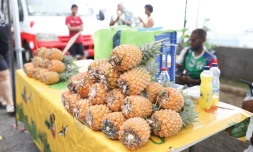 Fête de l'Ananas 