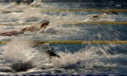 natation qualif 2017