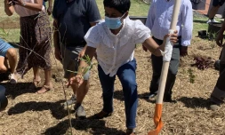 Ăricka Bareigts lance le projet "Une naissance, un arbre"