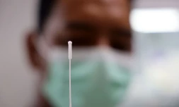 coronavirus 