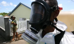 Chikungunya