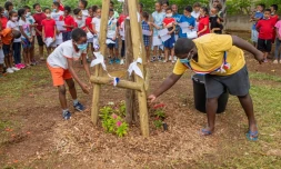 Arbre de la laïcité