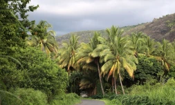 paysages 