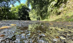 La météo sur La Réunion pluie