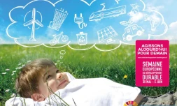 TCO - Programme SEDD