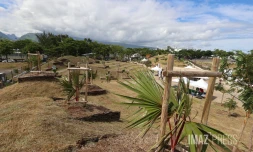 Jardin de l'oasis au Port