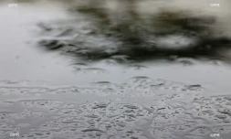 pluie 