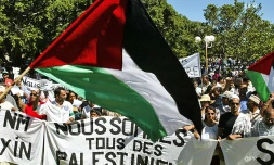 Le Collectif Réunionnais Palestine Solidarité répond à la Ligue des droits de l'Homme