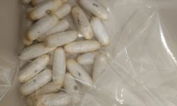 Trafic de drogue : la mule venue d'Afrique du Sud transportait 1,158 kilogramme de cocaïne