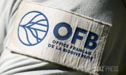 controle de la DEAL OFB lors de la sécheresse 