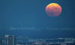 La Lune au-dessus de Tokyo le 10 septembre 2022 ( AFP / Philip FONG )