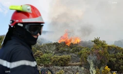 Incendie Maïdo 2020