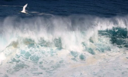 houle en bord de mer avec de grosses vagues