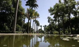 jardin de l'état 