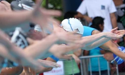 Natation 