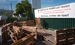 blocage fourrière cambiale Saint-Paul 