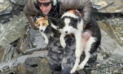 [Vidéo] Molly, une chienne disparue depuis sept jours, secourue en Nouvelle-Zélande