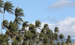 météo réunion 