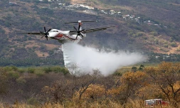 Dash 8 