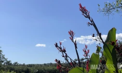 météo réunion