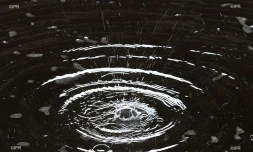 Eau 