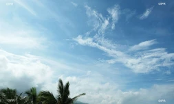 météo réunion 
