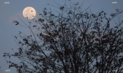 Super lune 