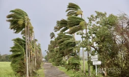 Cyclone Belal : Sainte-Suzanne
