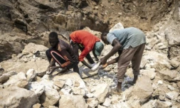 Des mineurs ramassent des pierres contenant du lithium sur un site minier à Gidan Kwano, dans l'État de Nasarawa, le 23 janvier 2025 au Nigeria ( AFP / OLYMPIA DE MAISMONT )
