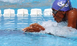 natation 