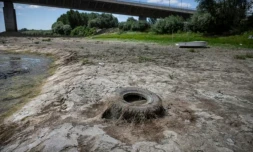 Un pneu git dans le cours du Danube asséché, près du pont Vidin-Calafat qui relie la Bulgarie et la Roumanie, au niveau du village d'Antimovo, dans le sud-est de la Bulgarie, le 22 juillet 2026 ( AFP / Nikolay DOYCHINOV )